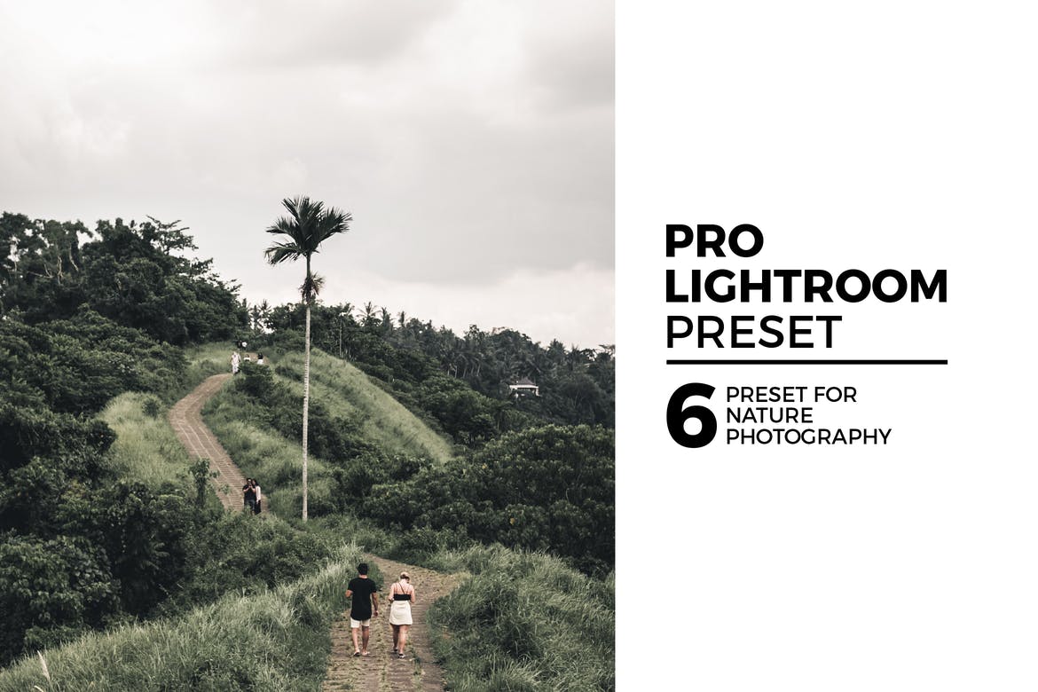 44+ Best Lightroom Film Presets 2023 Theme Junkie