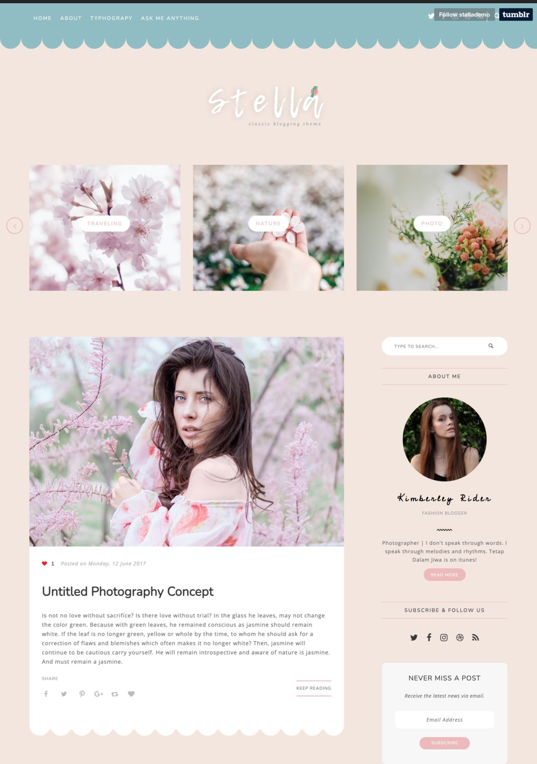 30+ Minimalist Tumblr Themes Theme Junkie