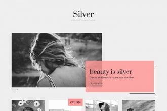 30+ Minimalist Tumblr Themes