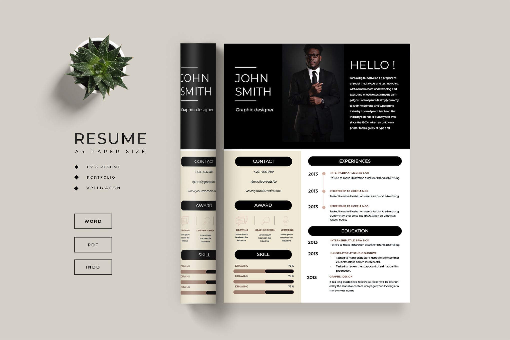 Modern Minimalist Resume for InDesign