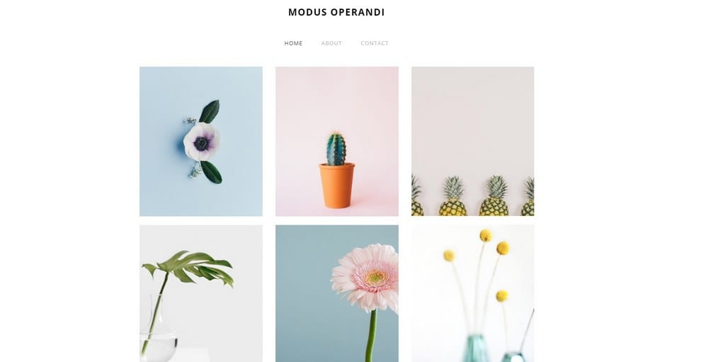 modus-weebly-theme