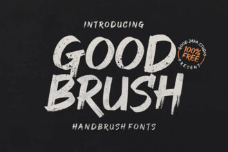 25+ Best Paint Brush Fonts (Free & Pro)