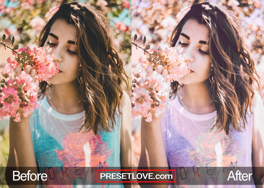 pastel lightroom presets