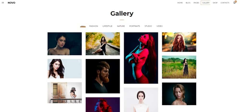 photographer-theme-gallery