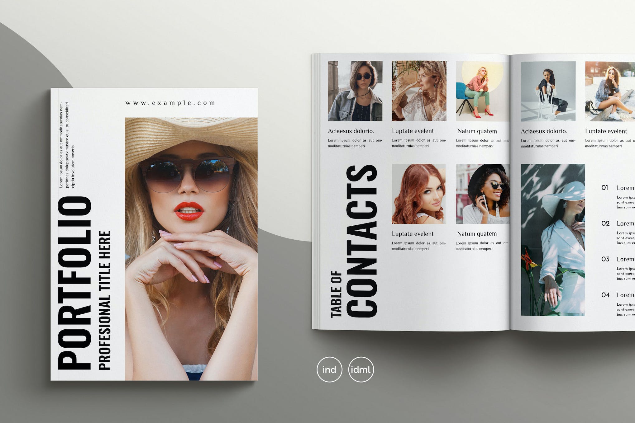 Portfolio InDesign Brochure Template