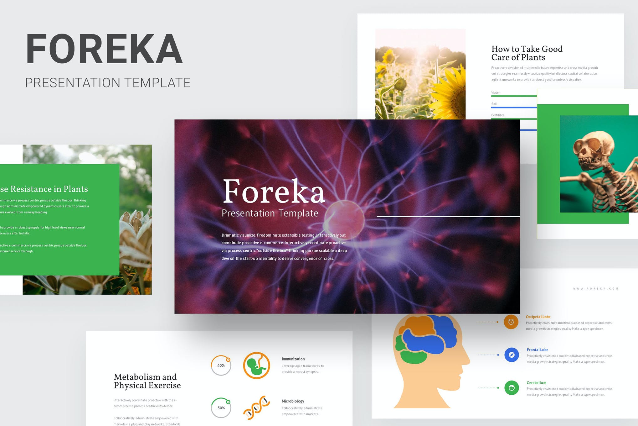 presentation poster templates