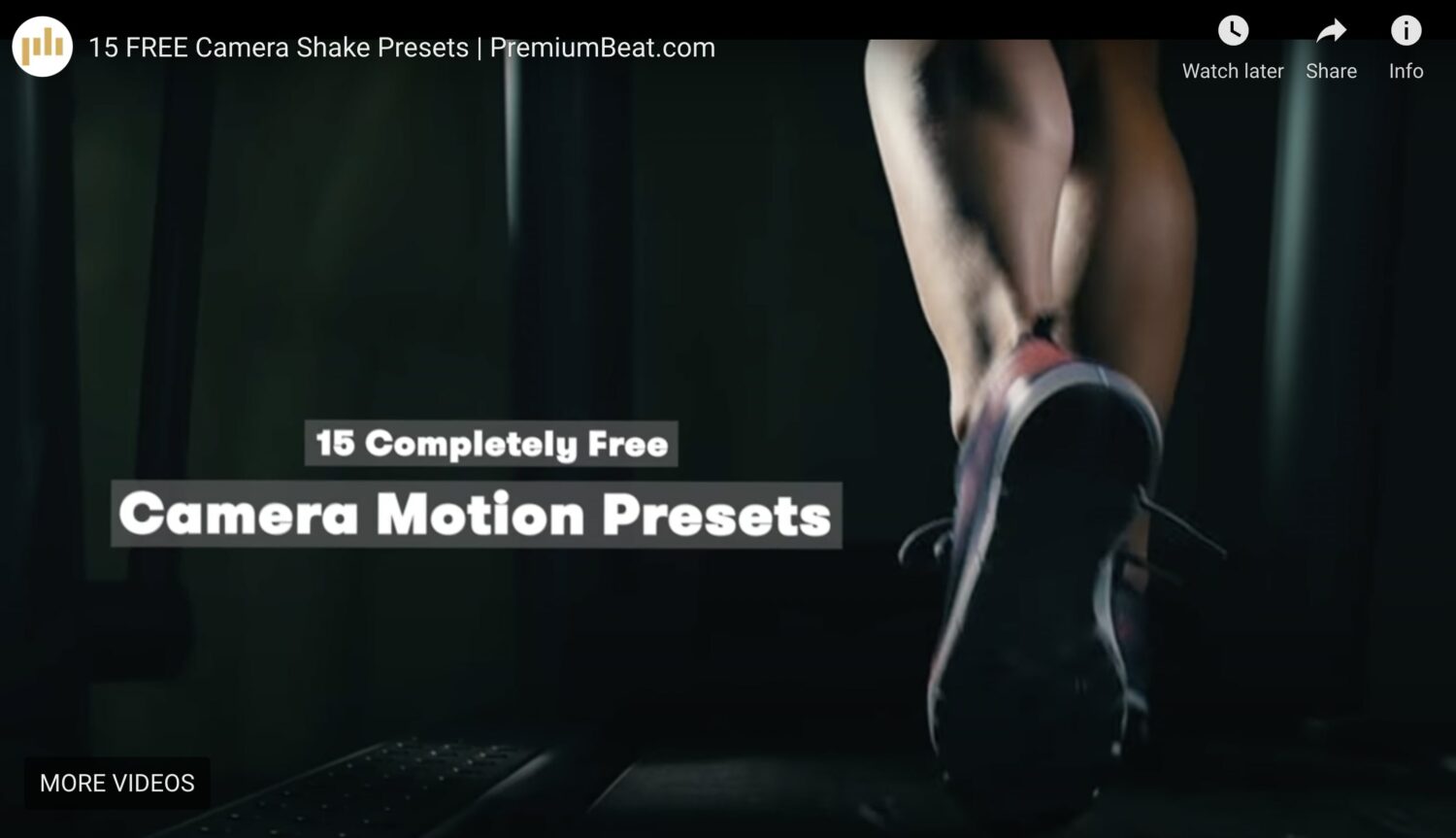 10+ Premiere Pro Camera Shake Effects (How to Add Shake) 2024 Theme