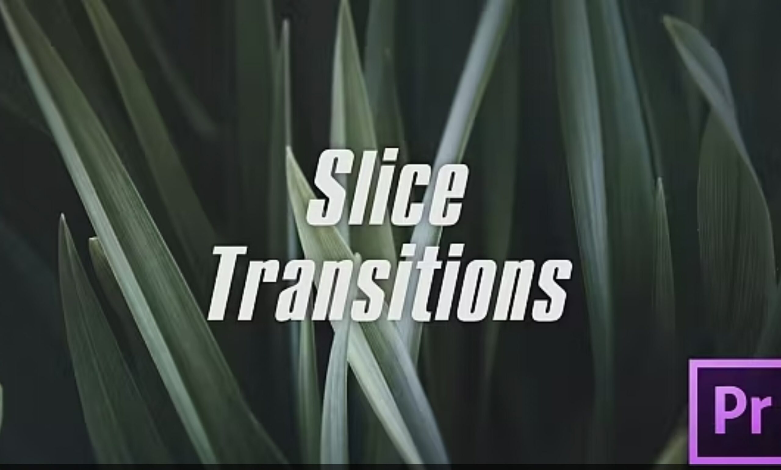 premiere pro transitions