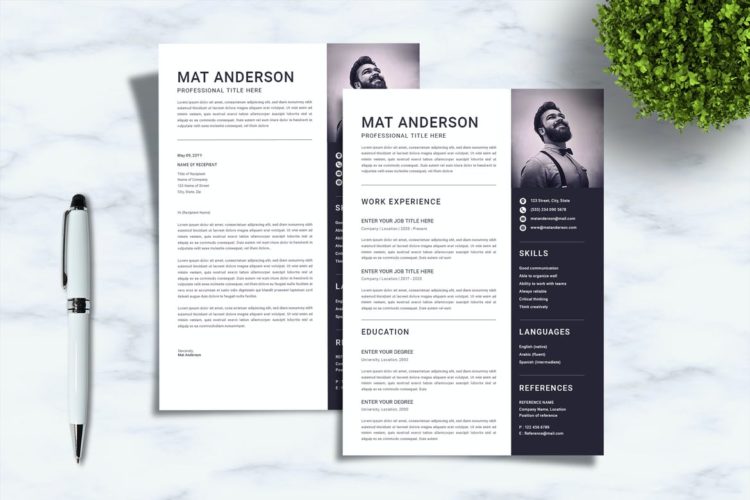 40+ Best Resume Templates (PSD) With Modern Designs Theme