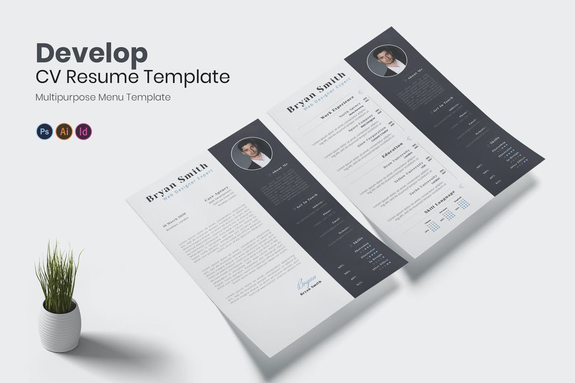 professional resume template psd free download