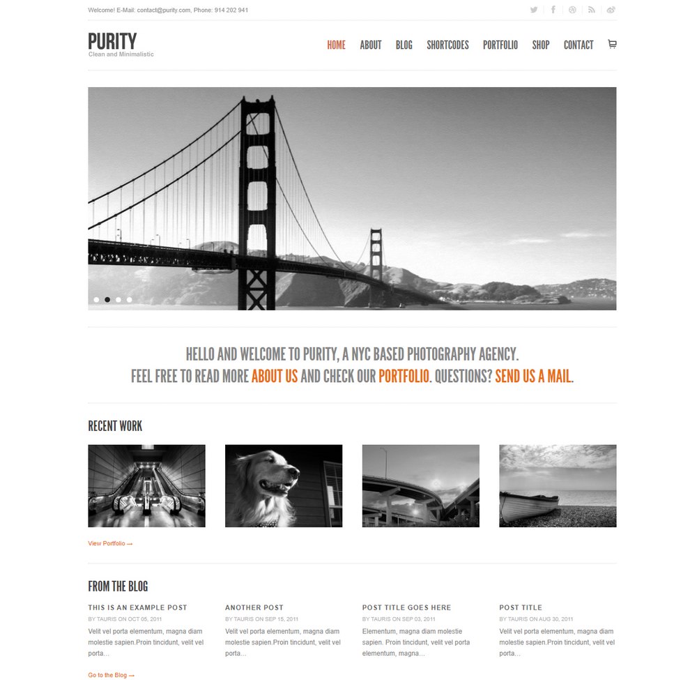 purity-easiest-wordpress-theme