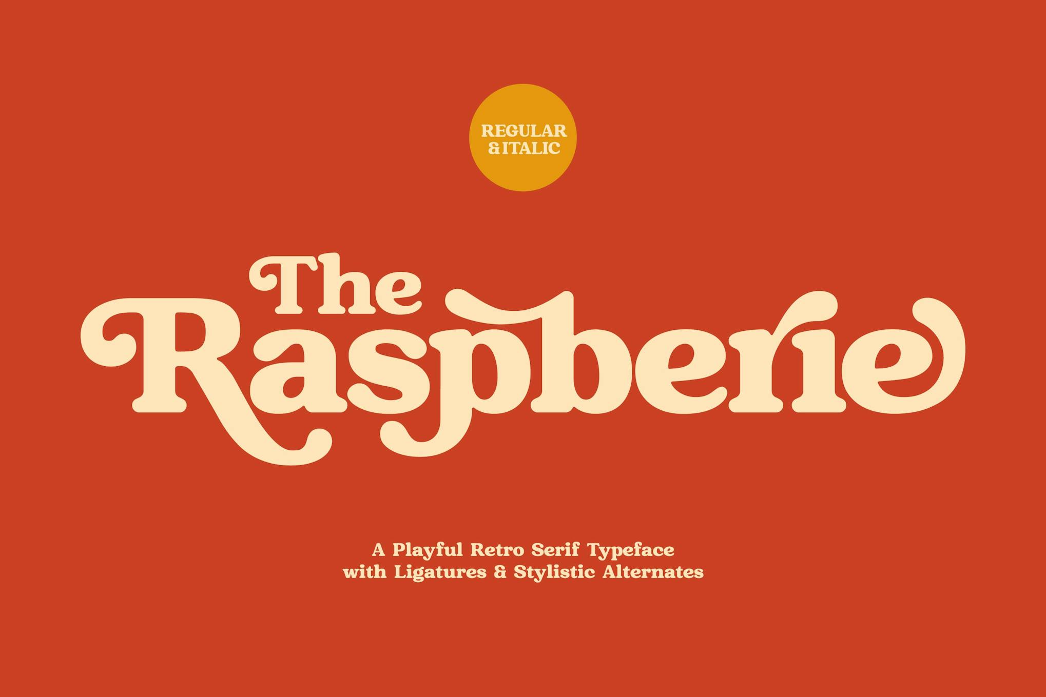 Raspberie - Retro Modern Font