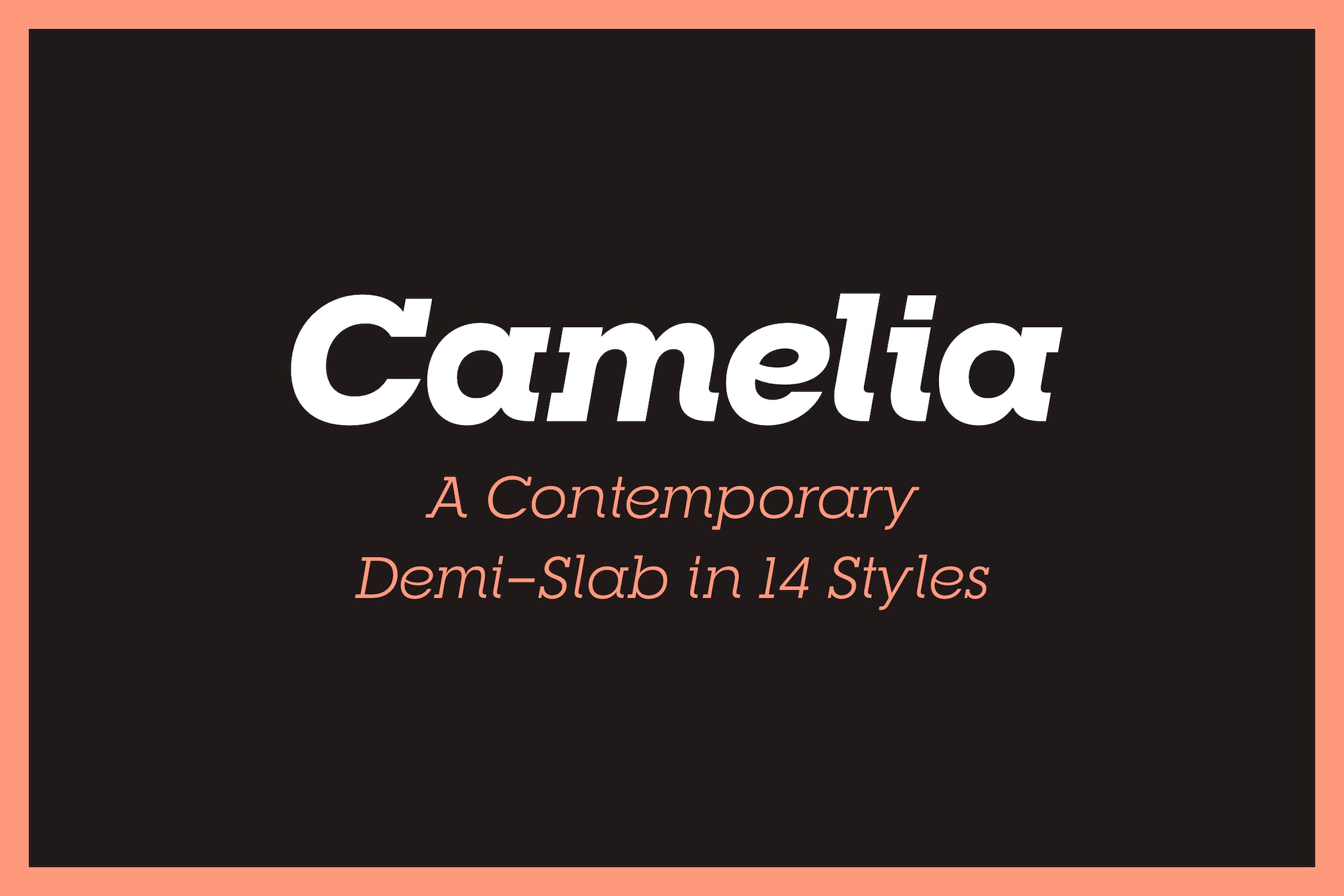 RNS Camelia Elegant Typeface