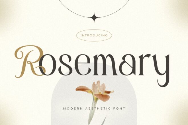 25+ Best Aesthetic Fonts for Elegant Designs - Theme Junkie