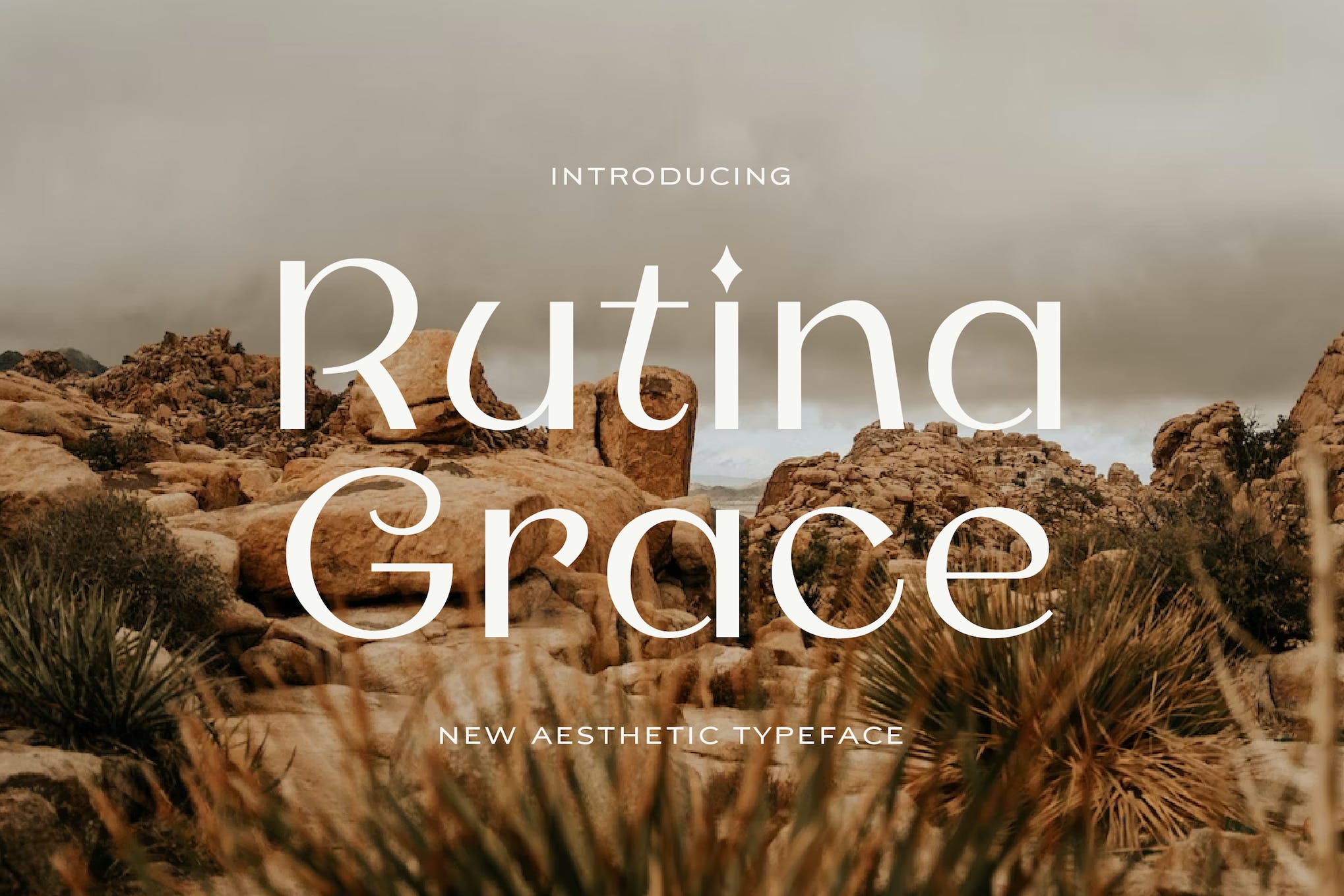 Rutina Aesthetic Typeface