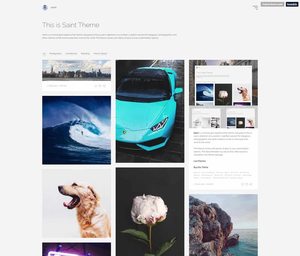 saint-minimal-tumblr-theme