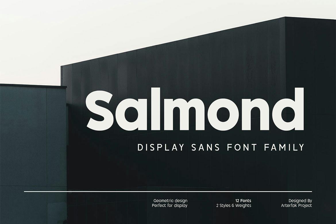 Salmond Contemporary Typeface