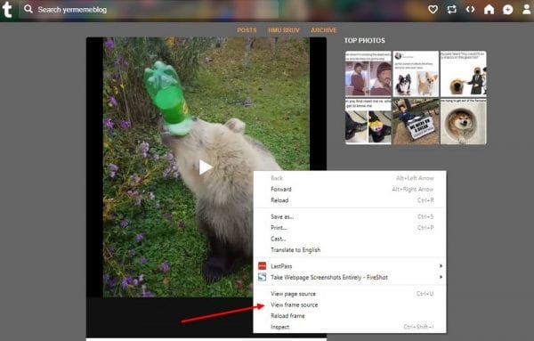 How to Save Tumblr Videos: 3 Easy Options - Theme Junkie