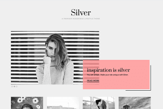 Introducing the Silver WordPress Theme