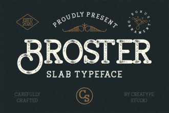 20+ Best Slab Serif Fonts (Popular Bold, Classic Slab Fonts) 2025