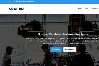 Introducing the Smallbiz WordPress Theme