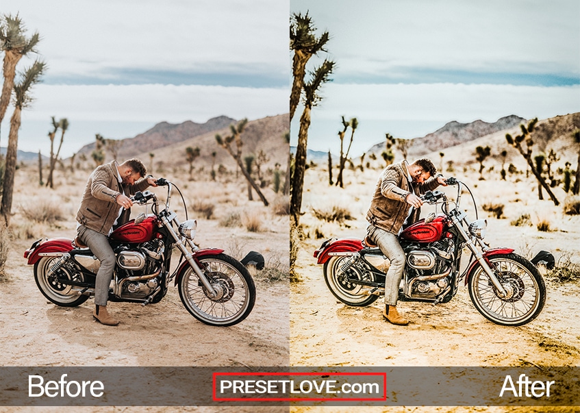 sports lightroom presets