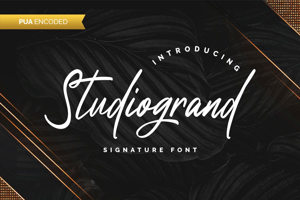 StudioGrand Designer Font