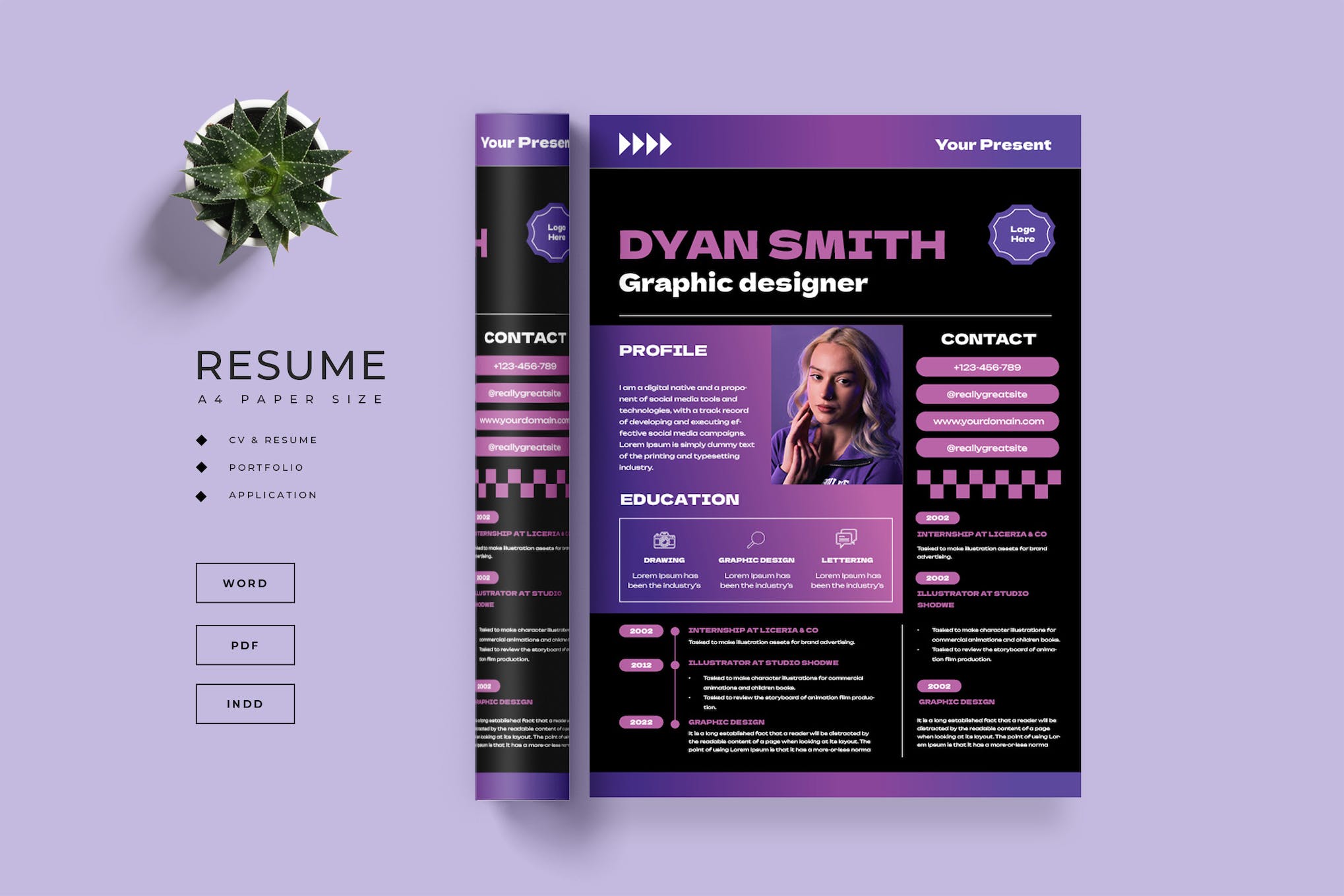 Stylish InDesign Resume Template