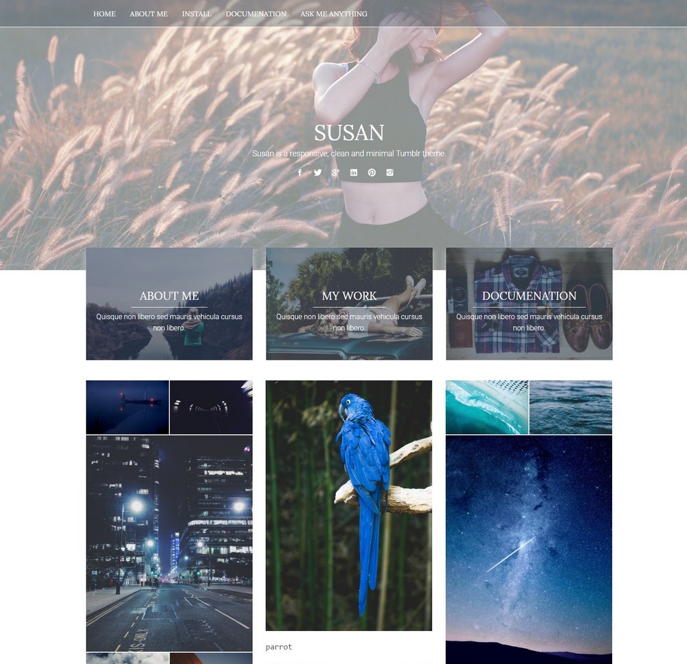 susan-customizable-tumblr-theme