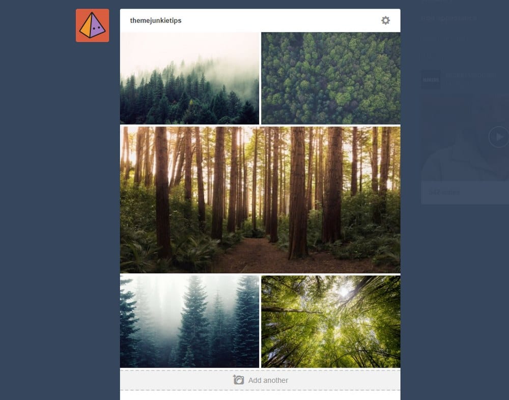 tumblr-moodboard-tutorial-3