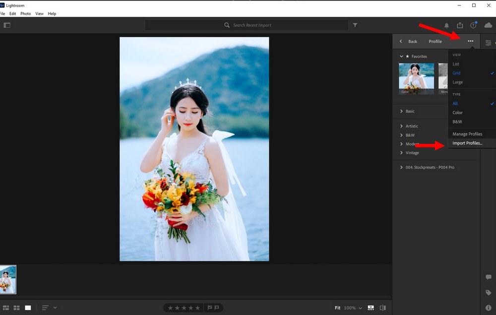 use LUTs in Lightroom CC 2