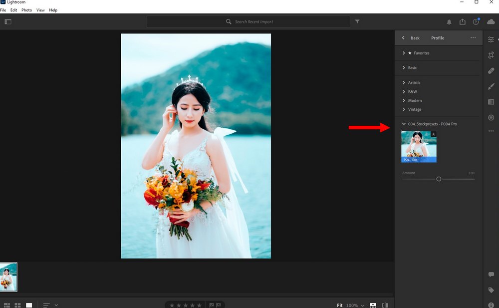 use LUTs in Lightroom CC 3