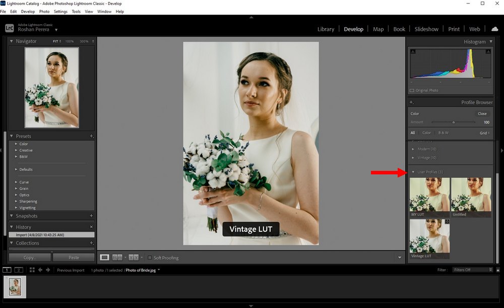 use LUTs in Lightroom Classic