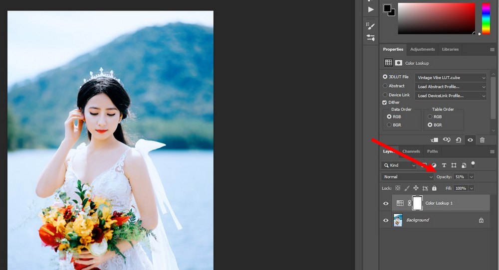 use luts in Photoshop 3