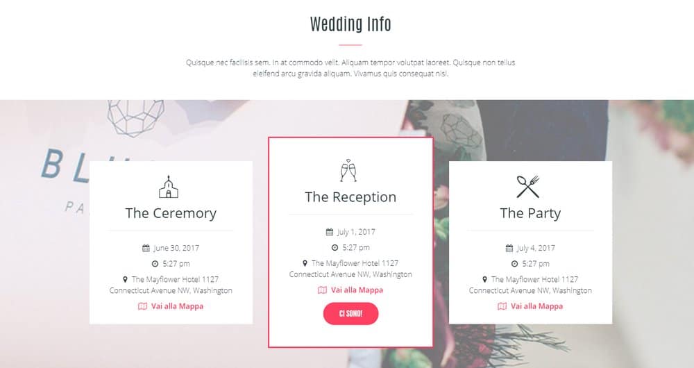 wedding-website-info