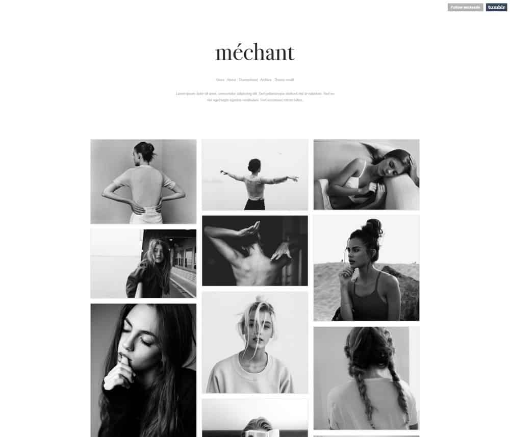 wicked-tumblr-porofolio-theme