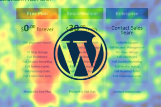 How To Use WordPress Heatmap Plugins To Optimize Your Website